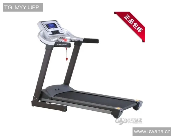 拳击体育健身器材全解析：选择与使用技巧详解