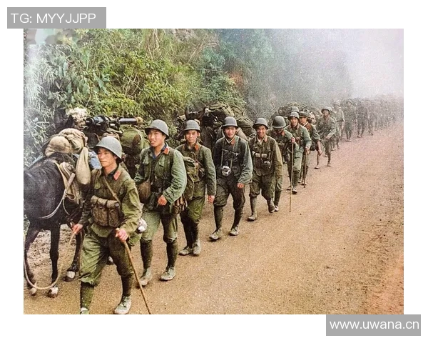 深圳攀岩队反击战术解析与训练策略全面剖析