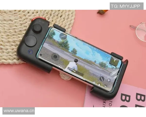 热议和平精英IG战队比赛经验的创新与变革之路 热议和平精英IG战队比赛经验的创新与变革之路